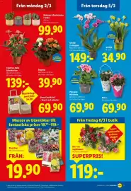 Lidl reklamblad vecka 10 Sida 20