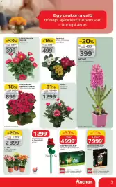 Auchan akciós újság hét 9 Oldal 3