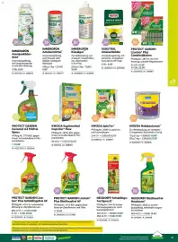 Lagerhaus Flugblatt Seite 31