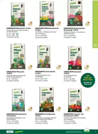 Lagerhaus Flugblatt Seite 7