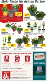 Toom Baumarkt Prospekt woche 9 Seite 2