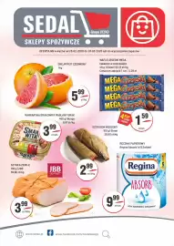 Sedal gazetka Strona 1