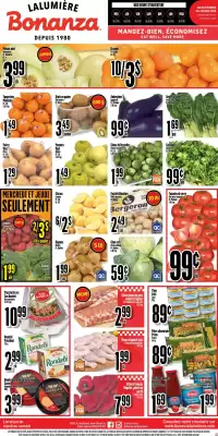 Bonanza flyer (valid until 3-03)