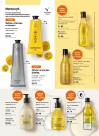 Catálogo Natura Página 101