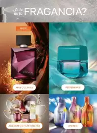 Catálogo Natura Página 19