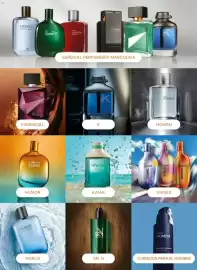 Catálogo Natura Página 20