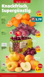 PENNY DE folder week 9 Pagina 6