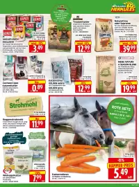 Herkules Baumarkt Prospekt woche 9 Seite 7