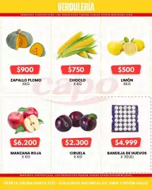 Catálogo Autoservicio Capo Página 4