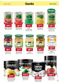 Qanto leták Strana 137