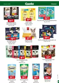 Qanto leták Strana 157