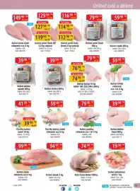 Qanto leták Strana 15