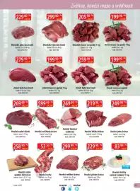 Qanto leták Strana 17