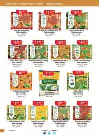 Qanto leták Strana 8