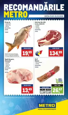 Catalog Metro (valid până la 1-03)