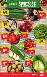 Polomarket gazetka tydzień 9 Strona 13