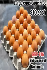 Savemore catalogue Page 13