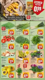 Rewe DE folder week 9 Pagina 7