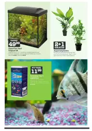 Dierspecialist folder Pagina 10