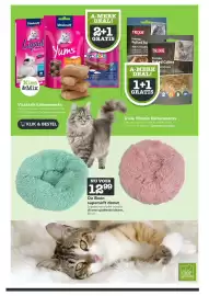 Dierspecialist folder Pagina 7