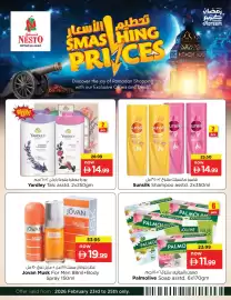 Nesto catalogue Page 1