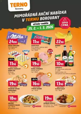 Terno leták (platné do 1-03)