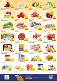 Nesto catalogue Page 2