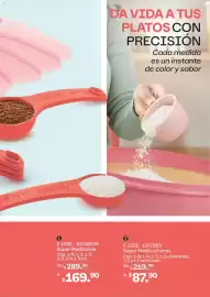 Catálogo Tupperware Página 49
