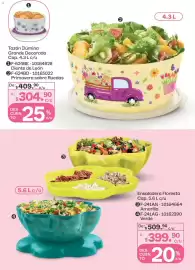 Catálogo Tupperware Página 85