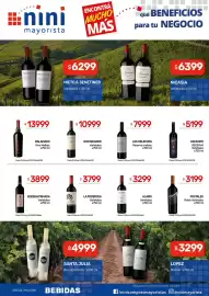 Catálogo Nini Mayorista semana 9 Página 14