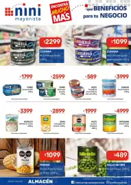 Catálogo Nini Mayorista semana 9 Página 21