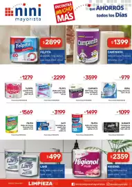 Catálogo Nini Mayorista semana 9 Página 7