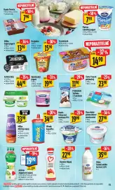 Albert leták týden 9 Strana 17