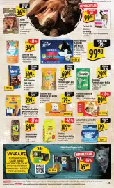 Albert leták týden 9 Strana 37