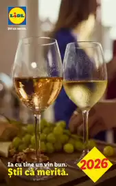 Catalog Lidl Pagină 1