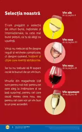 Catalog Lidl Pagină 2