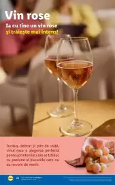 Catalog Lidl Pagină 20