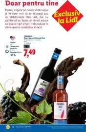 Catalog Lidl Pagină 32