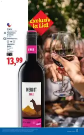 Catalog Lidl Pagină 47