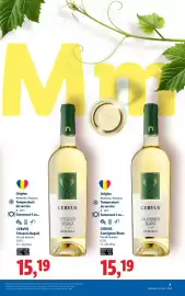 Catalog Lidl Pagină 7