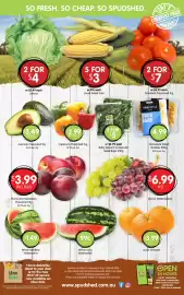 Spudshed catalogue week 9 Page 14