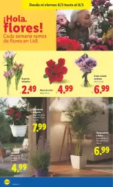Catálogo Lidl semana 10 Página 52