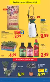 Catálogo Lidl semana 10 Página 53