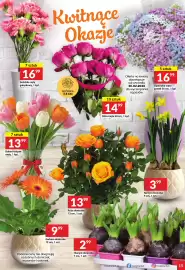 Twój Market gazetka tydzień 9 Strona 15