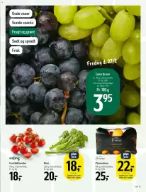 Føtex tilbudsavis Side 17