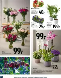 Føtex tilbudsavis Side 62