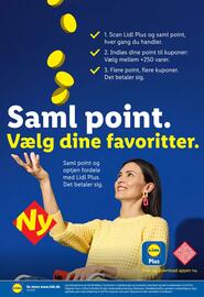 Lidl tilbudsavis uge 10 Side 38