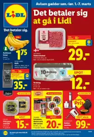 Lidl tilbudsavis uge 10 Side 1