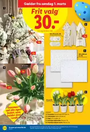 Lidl tilbudsavis uge 10 Side 18