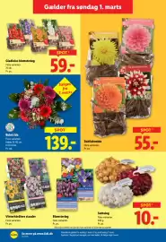 Lidl tilbudsavis uge 10 Side 31